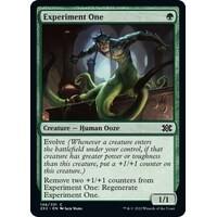 Experiment One FOIL - 2X2