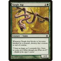 Tangle Asp - 5DN