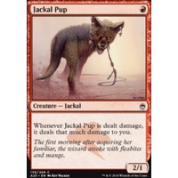 Jackal Pup - A25