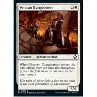 Veteran Dungeoneer FOIL - AFR