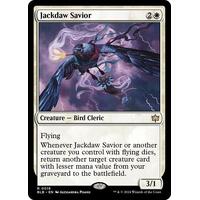 Jackdaw Savior - BLB