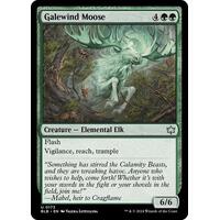 Galewind Moose - BLB