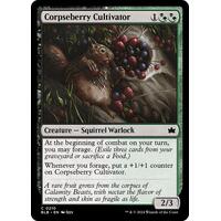 Corpseberry Cultivator - BLB