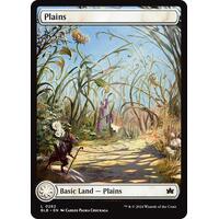 Plains (0262) - BLB