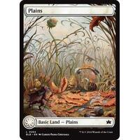 Plains (0264) - BLB