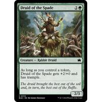 Druid of the Spade FOIL - BLB