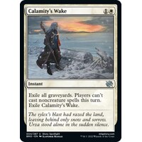 Calamity's Wake - BRO