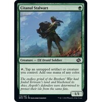 Citanul Stalwart - BRO