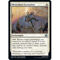 Meticulous Excavation FOIL - BRO