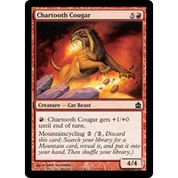 Chartooth Cougar - CMD