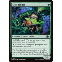 Molt Tender - DFT