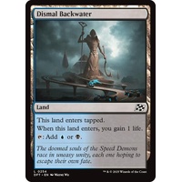 Dismal Backwater - DFT