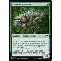 Loxodon Surveyor FOIL - DFT