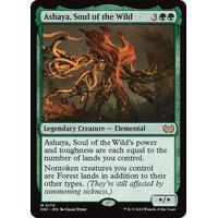 Ashaya, Soul of the Wild - DSC