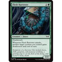 Flesh Burrower - DSK