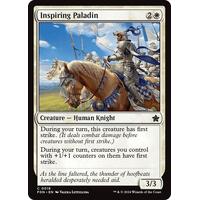 Inspiring Paladin - FDN