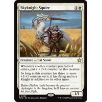 Skyknight Squire - FDN