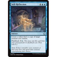 Self-Reflection - FDN