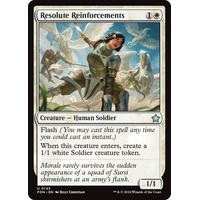 Resolute Reinforcements FOIL - FDN