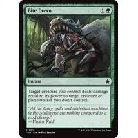 Bite Down FOIL - FDN