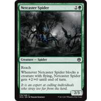 Netcaster Spider - IMA