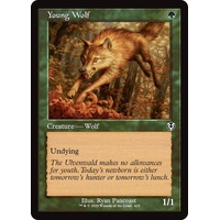 Young Wolf (Retro Frame) - INR