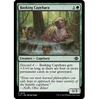 Basking Capybara - LCI