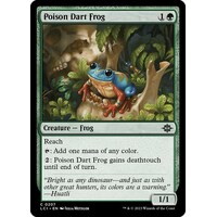 Poison Dart Frog - LCI