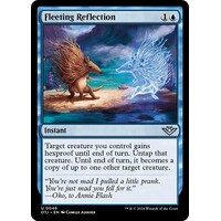 Fleeting Reflection - OTJ