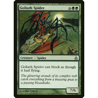 Goliath Spider - RAV