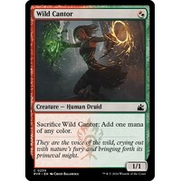 Wild Cantor - RVR