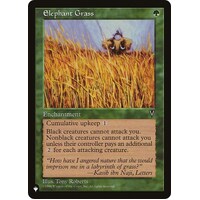 Elephant Grass - TLP