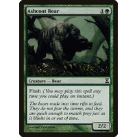 Ashcoat Bear FOIL - TSP