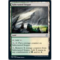 Saltcrusted Steppe FOIL - TSR