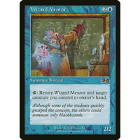 Wizard Mentor - USG