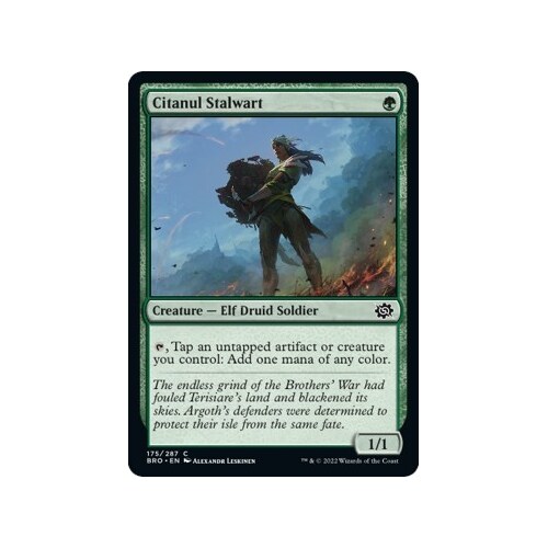 Citanul Stalwart - BRO