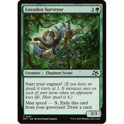 Loxodon Surveyor FOIL - DFT