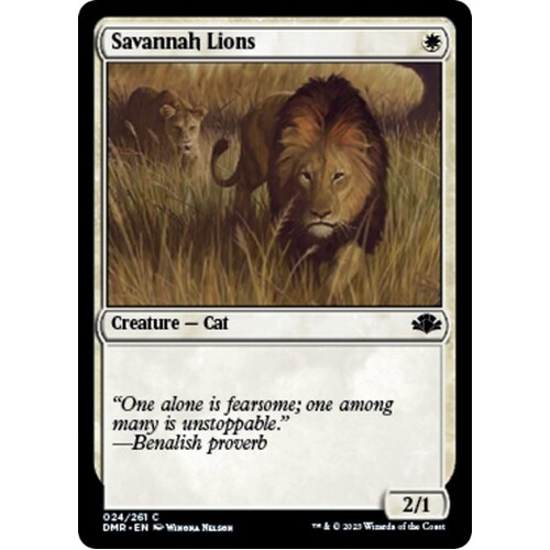 Savannah Lions - DMR