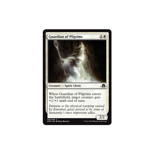 Guardian of Pilgrims - EMN