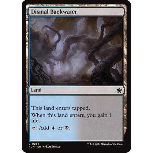 Dismal Backwater FOIL - FDN