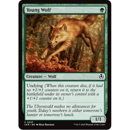 Young Wolf - INR