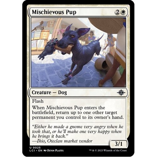 Mischievous Pup - LCI