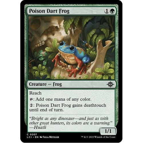 Poison Dart Frog - LCI