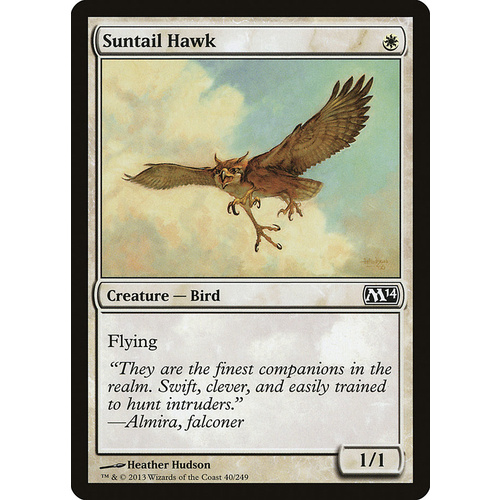 Suntail Hawk FOIL - M14