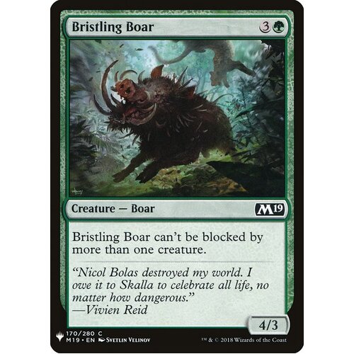 Bristling Boar - MB1