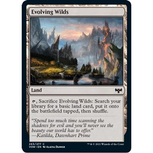 Evolving Wilds FOIL - VOW